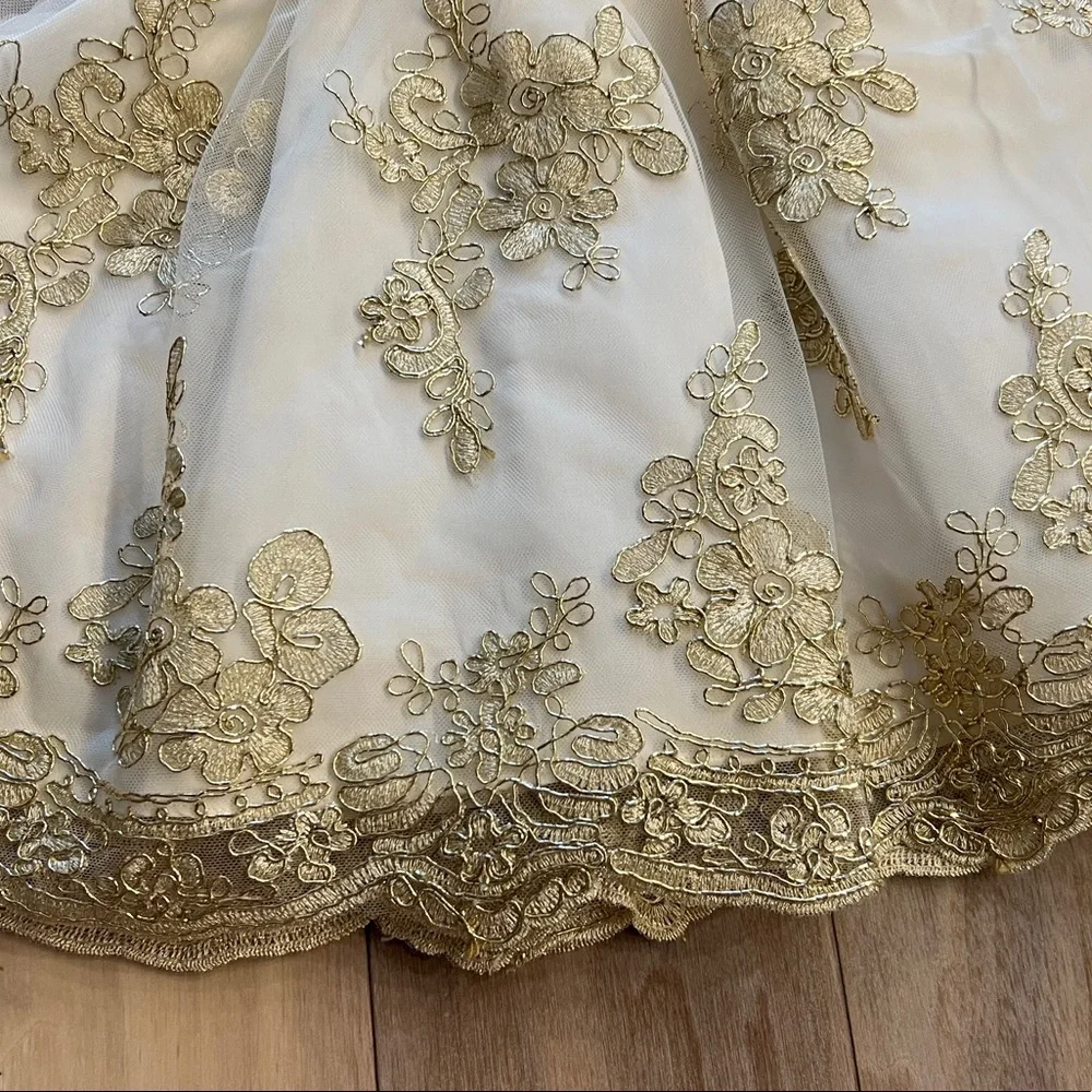 Holiday/Special Occasion - Rare Editions dress 24M& Sugar shoes - Picture 4 of 15